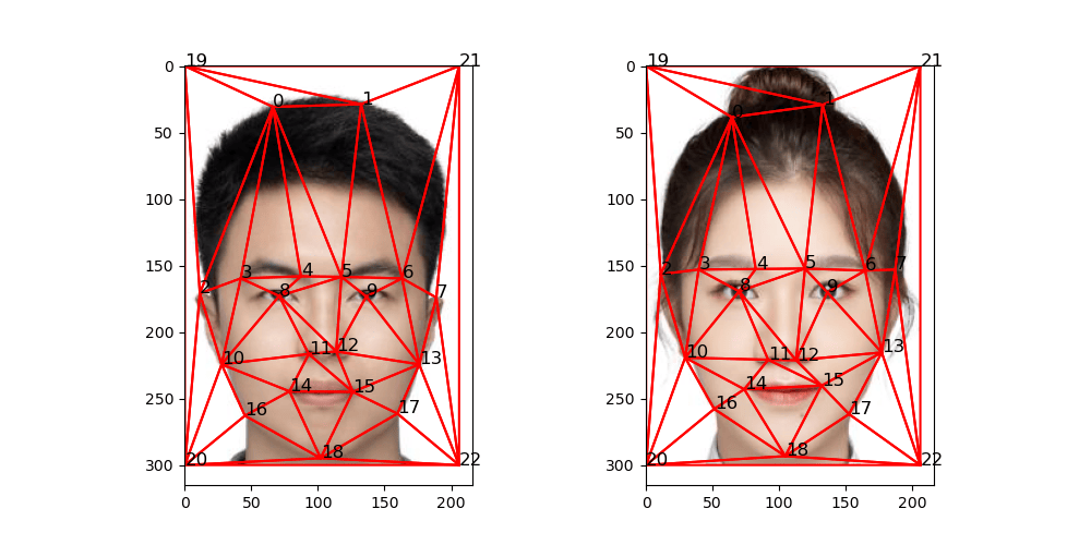 Delaunay triangulation calculated on the midway shape.